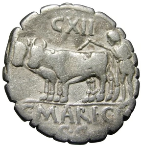 República Romana C. Marius C f Capito AR Denarius (91 A.C.), Gens Maria - Imagen 1 de 6
