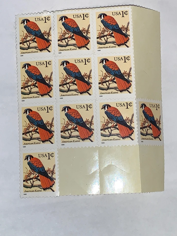American Kestrel Sheet 1999 of 11 1¢ Stamps  VF Penny Stamp Unhinged MNH - Image 1 of 4