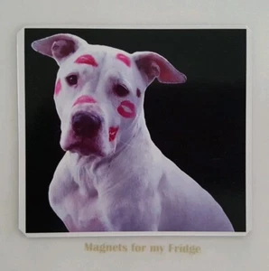 STAFFORDSHIRE / PITBULL KISSES FRIDGE MAGNET - M358 F - Imagen 1 de 1