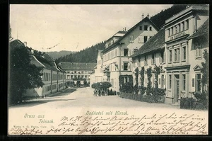 Teinach, Ansichtskarte, Partie am Badhotel mit Hirsch - Picture 1 of 2