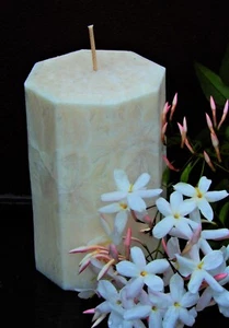 CITRONELLA & JASMINE Essential Oil HEXAGON CANDLE 200hr MOZZIE INSECT REPELLENT - Picture 1 of 12