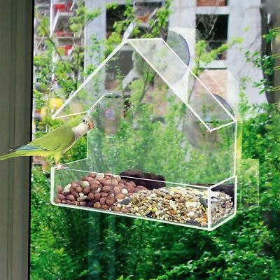 GLASS WINDOW CLEAR VIEWING BIRD FEEDER TABLE SEED PEANUT HANGING SUCTION PERSPEX - Image 1 of 4