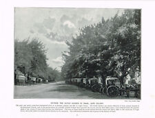 Paarl Cape Colony Outside The Dutch Church Antique Picture Print 1897 QE#61