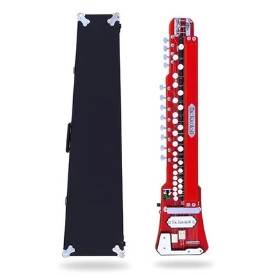 Bulbul Tarang Banjo Artesanal 29 Teclas 14 Cuerdas | Música Tradicional India Foto 1 de 4