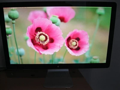 Apple Cinema Display 27-inch Widescreen LED Monitor MC007LL/A A1316, Very Good - Image 1 of 4