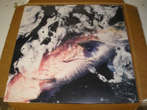 Jessika Kenney & Eyvind Kang - Azure LP new sealed Ideologic Organ avant-garde - Imagen 1 de 2
