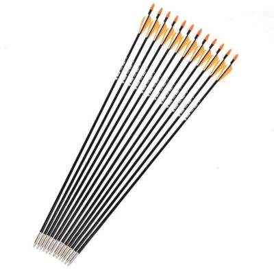 12PCS 31'' Fiberglass Target Arrows Shooting Shooting Practice Plastic Feather  - Image 1 of 4