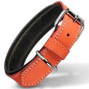 Leather Dog Collar Genuine Leather Collar for Large Dogs Premium Luxury Padde... - Picture 1 of 7