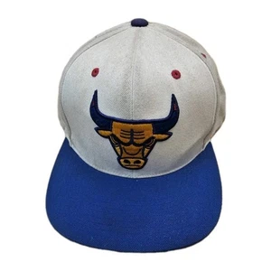VINTAGE CHICAGO BULLS NBA SNAPBACK HAT MITCHELL & NESS VINTAGE HARDWOOD CLASSICS - Picture 1 of 12