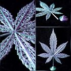 Ornement de feuilles de cannabis art vert violet | joint de ganja marijuana mauvaises herbes 420