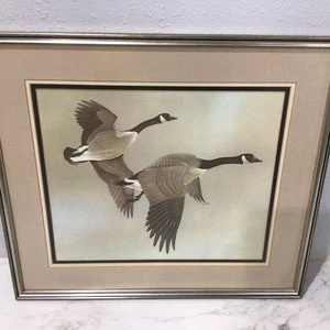 G. Loates Canadian Geese 1966 Matted&Framed w/glass Art Print - Picture 1 of 4