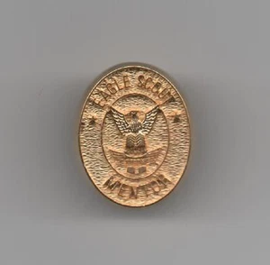 Eagle Scout Mentor Erkennungsnadel, oval alles goldfarbenes Metall, neuwertig! - Bild 1 von 1