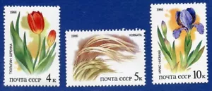 RUSSIA - SC #5424 - 5428 FLORA DELLE STEPPE RUSSE (A229) - Foto 1 di 2