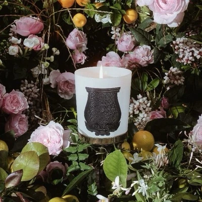 Mix & Match Discount* - Cire Trudon ROSE POIVE 9.5oz Scented Candle, Beeswax - Image 1 of 4