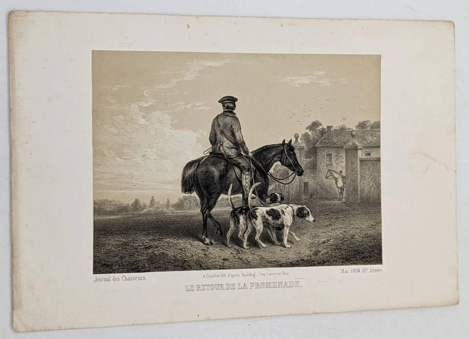 Gravure chasse chiens :  LE RETOUR DE LA PROMENADE, XIXe siècle. - Photo 1/1