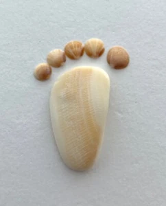 Insegna cornice bambino arte ciottoli conchiglia spiaggia naturale stampa piedi nudi #BF USA - Foto 1 di 15