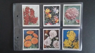 WILLS  1938.  GARDEN  FLOWERS. NEW  VARIETIES, 'A'  SERIES,  SET OF 40 CARDS. - Image 1 of 4