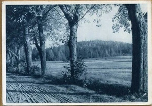 Latvia 1930's Nr. 44 Zilais Kalns Postcard R. Rubenis Photo - Picture 1 of 2