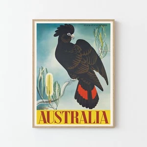 Australia Cockatoo & Banksia Vintage Travel Poster Fine Art Print | Home Decor - Picture 1 of 6