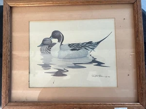 Richard Sloan 1980 stampe anatra incorniciate cornice in legno cantata - Foto 1 di 4