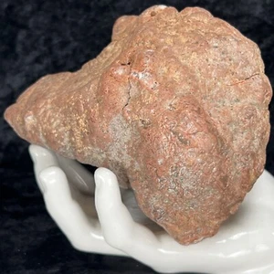 5” Red Unopened Geode Crystal Chalcedony Non Rattling Fossil Quartz Uncut 2.2Lbs - Picture 1 of 13