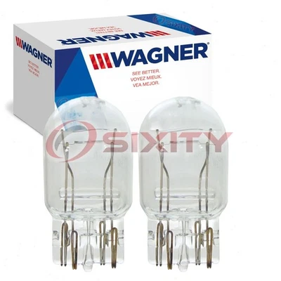 2 pc Wagner Tail Light Bulbs for 1995-2015 Honda Accord Accord Crosstour ft - Image 1 of 4