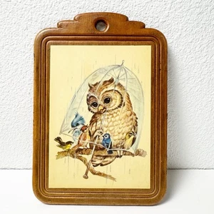 Placa de pared pintada a mano vintage de búho y pájaros bajo la lluvia - Imagen 1 de 7