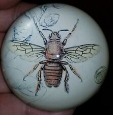 Vintage Honeybee Art Print Domed Glass Paperweight