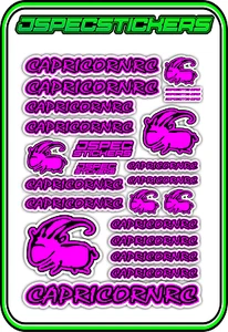 CAPRICORN RC STICKER A5 LAB 1/8 F1 1/10 TESLA ELECTRIC NITRO CAR HARD PINK B - Picture 1 of 9