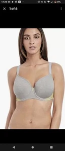 Freya Chi UK 34HH Wired Moulded Smooth Light Grey Tshirt Full Coverage Bra - Picture 1 of 6