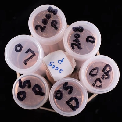 2005 Px2 05'-D 08'-Dx2 08'-P Lincoln Memorial Cent BU Penny Rolls Lot of 6 1c  - Image 1 of 4