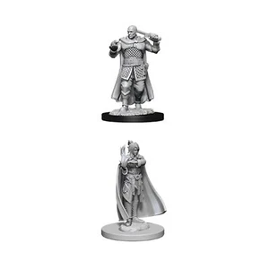 WizKids (WZK-73675) Dungeons & Dragons: Nolzur's Marvelous Unpainted Miniatures - Picture 1 of 1