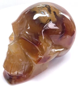 3.8'' Natural Red Agate  Carved Crystal Skull,Crystal Healing,Gemstone & Crystal - Picture 1 of 9