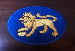 Fitzroy Football Club LION VFL Jumper 1976 -78 sponsor patch embroidered sew-on - Picture 1 of 15
