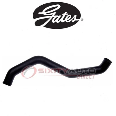 Gates Lower Radiator Coolant Hose for 1995 Dodge Dakota 2.5L L4 - Antifreeze hx Foto 1 de 4