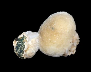 Natürlicher Thomsonit mit Stilbit Heulandit Mineralien Maharashtra Indien #L 408 - Bild 1 von 5