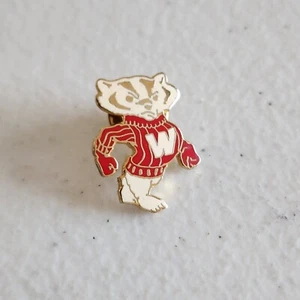 Vintage University of Wisconsin Badgers Mascot Bucky Pin jersey sweater * (b) - Picture 1 of 5