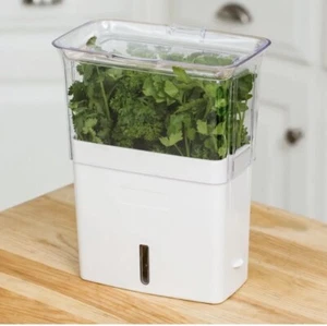 COLE & MASON Fresh Herb Keeper, Container, Clear - Picture 1 of 7