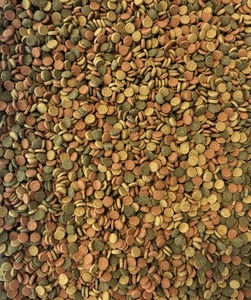 Welsfutter MiniMix 3-Farb Mix Spirulina Rot Astaxanthin Gelb Vitamin 5Kg XL Pack - Bild 1 von 1