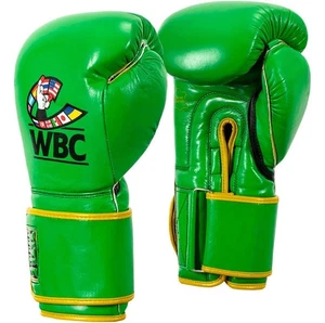 Guantes de gancho y bucle Title Boxing WBC - verde/negro - Imagen 1 de 5