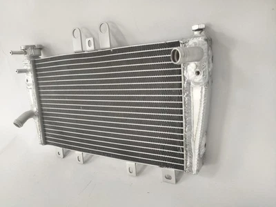 Los6 for Radiator 2005-2010 Triumph Speed Triple 1050 OEM# T2100276 New — 第 1/4 张图片