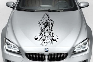 Spiderman Vinyl Decal Graphic Car Truck Hood Side USA - Picture 1 of 1