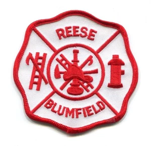 PATCH MICHIGAN REESE BLUMFIELD FIRE DEPARTMENT DEPT. RESCUE EMS AMBULANCE - Picture 1 of 1