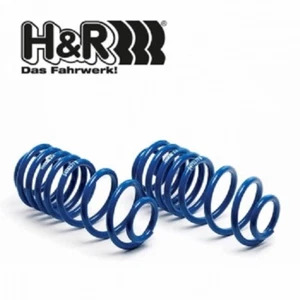H&R Lowering Springs ABE 30-45 MM for BMW X5 E70 X6 E71 E72 With Air Suspension - Picture 1 of 2