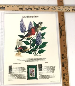 New Hampshire Commemorative Mint-Stamp Postal Commemorative Society Collectable. - Picture 1 of 1