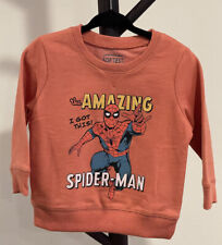 Toddler Boys Lightweight Crew Neck Fleece | Spider-Man Print in 12 Months | New!