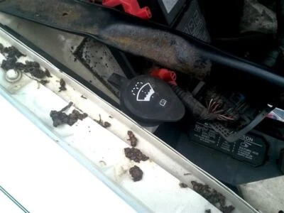 Wash Reservoir Fits 98-05 CENTURY 146189 - Image 1 of 3