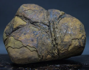 759Gr Natural Septarium Dragon's Stone Septarian Crystal Rough Mineral Specimen - Picture 1 of 10