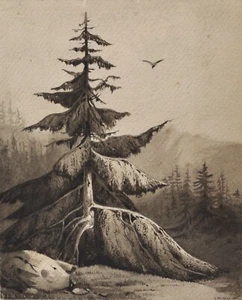 Romantiker - Schneebedeckte Tanne - antikes Aquarell -  sign./dat. - Bild 1 von 3