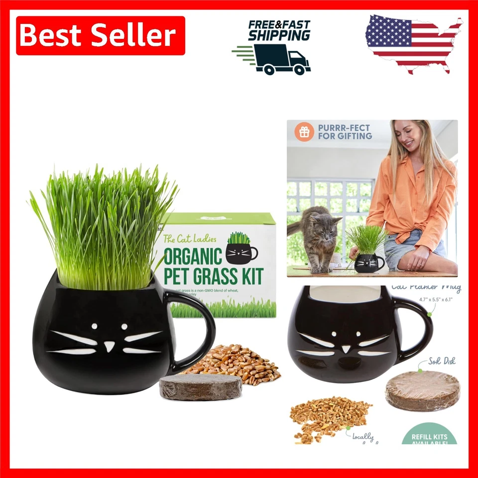 Holiday Gift Set Organic Cat Grass Growing Kit With Seed Mix Soil and Planter